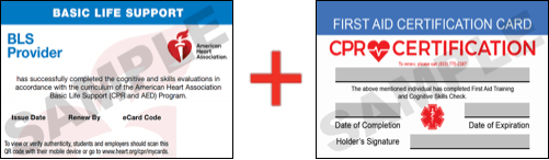 Sample American Heart Association AHA BLS CPR Card Certification and First Aid Certification Card from CPR Certification Plano