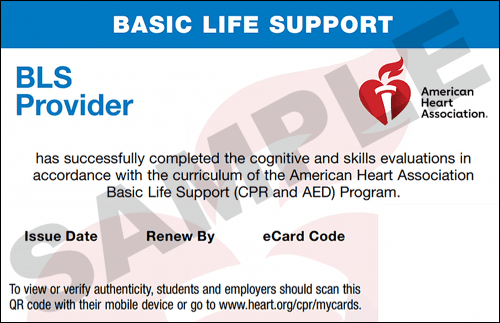 Sample American Heart Association AHA BLS CPR Card Certification from CPR Certification Plano