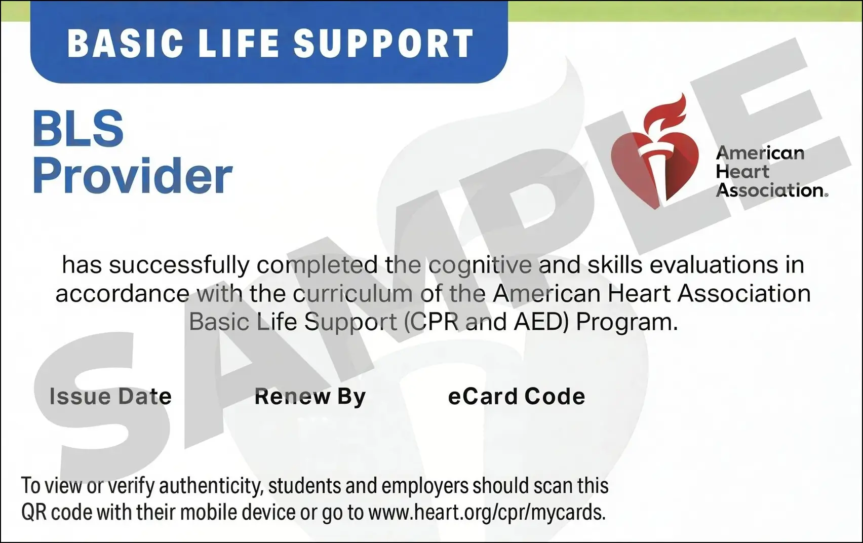 Sample American Heart Association AHA BLS CPR Card Certification from CPR Certification Plano